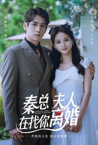 《秦总，夫人在找你离婚》完整版在线观看