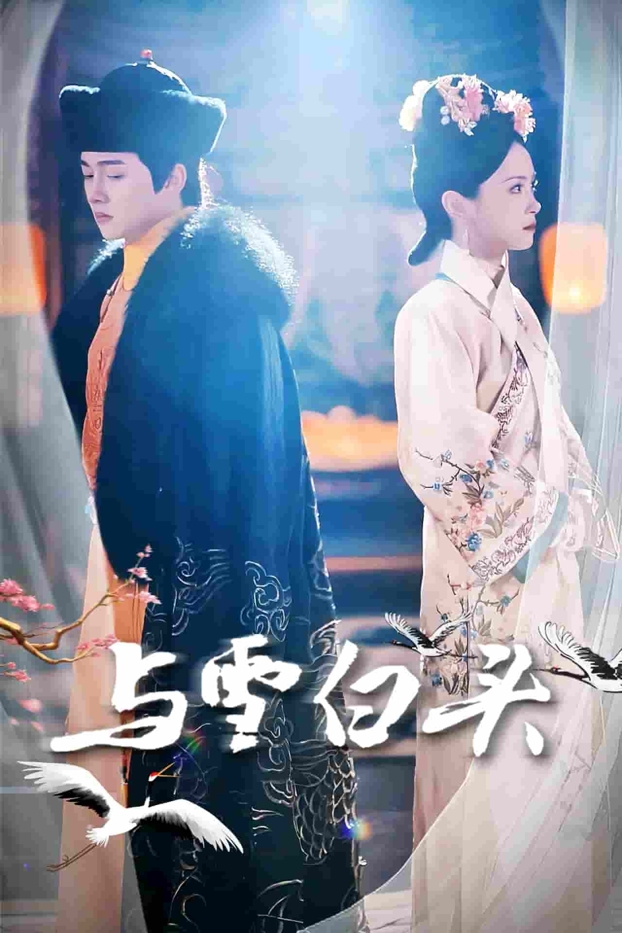 《与雪白头》完整版在线观看