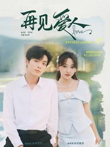 《再见爱人》完整版在线观看