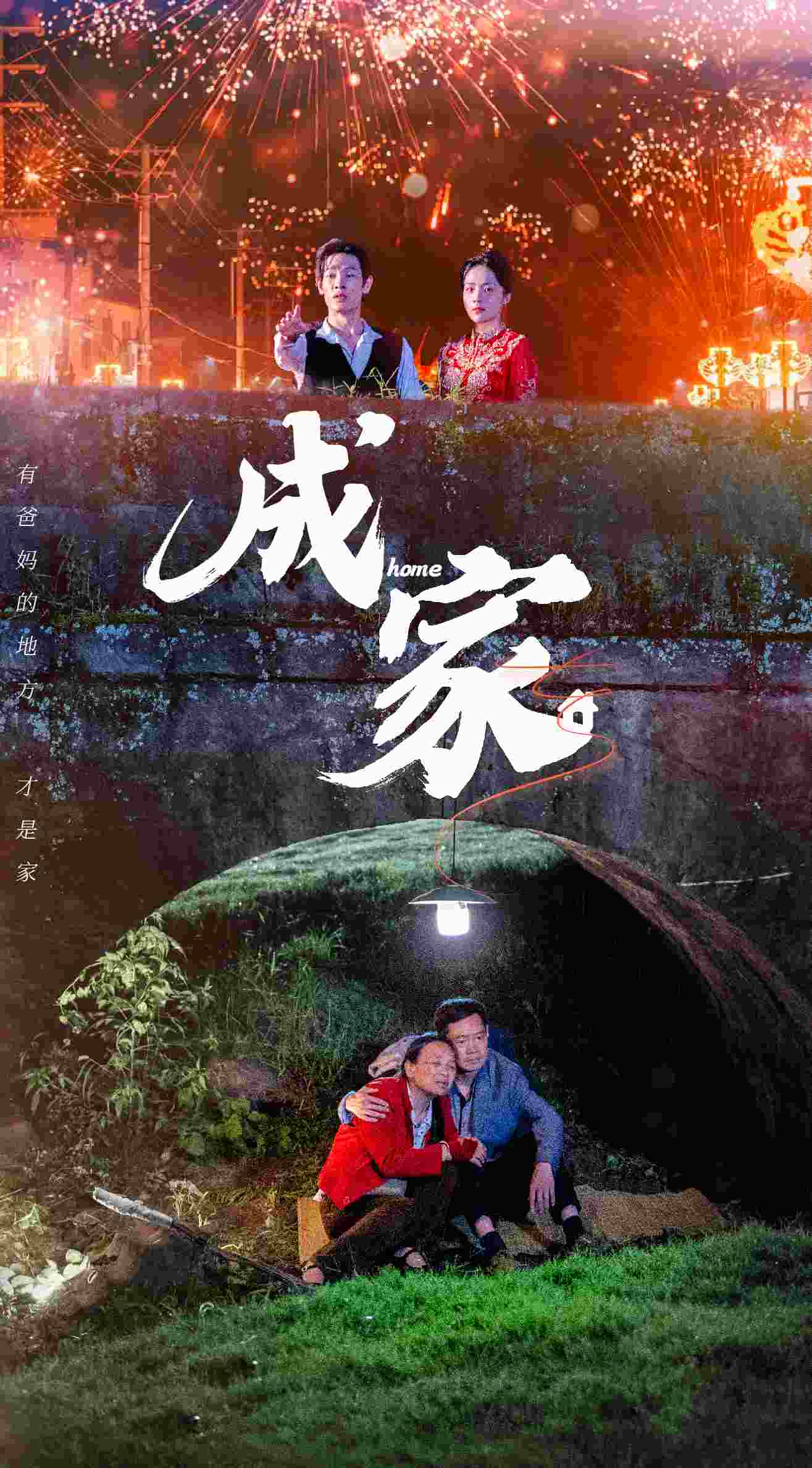 《成家》完整版在线观看