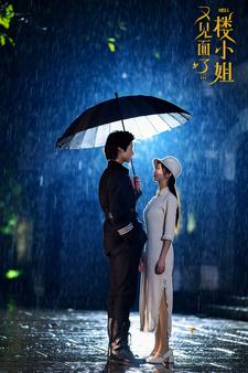 《又见面了楼小姐》完整版在线观看