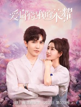 《爱上你是我的荣耀》完整版在线观看