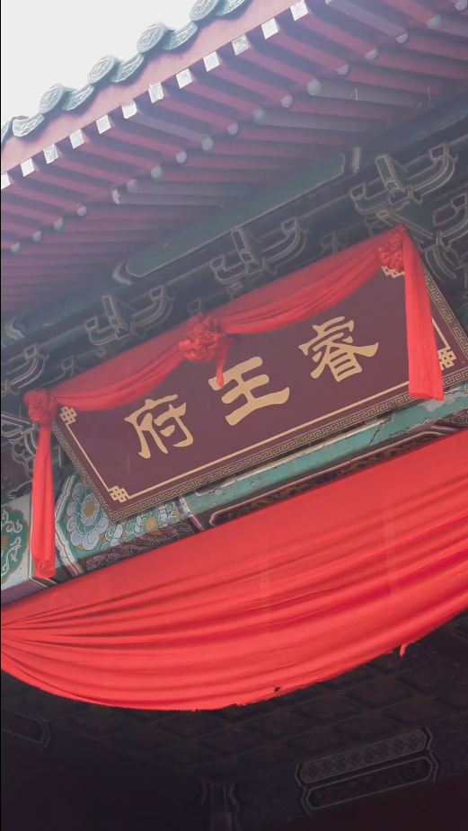 《新：王妃她又美又飒》完整版在线观看