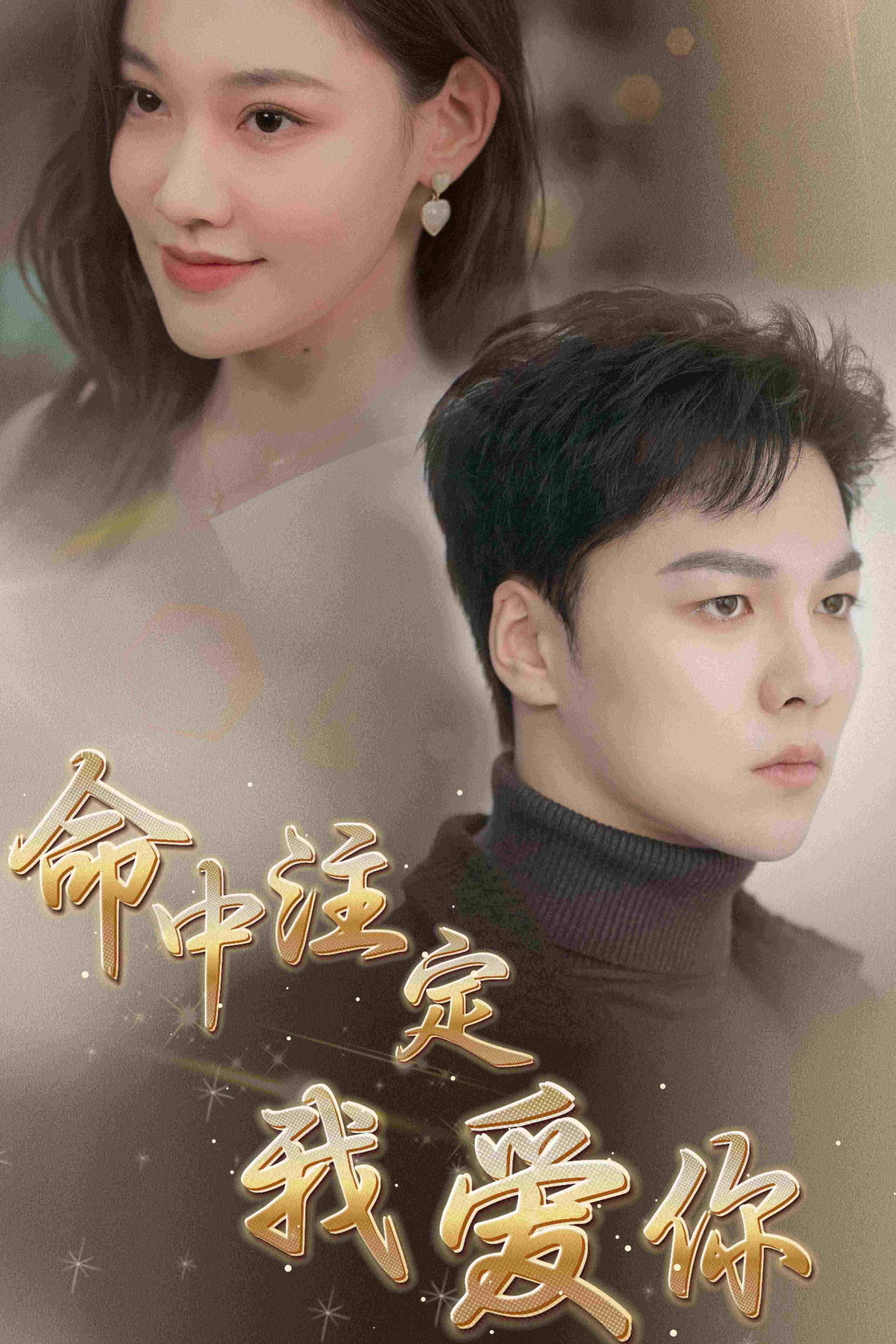 《命中注定我爱你》完整版在线观看