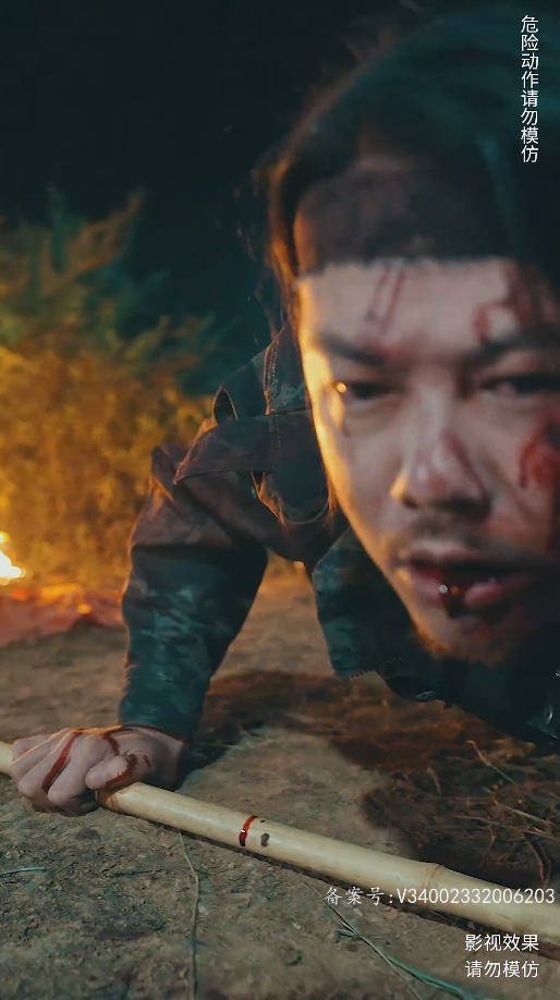 《战龙》完整版在线观看