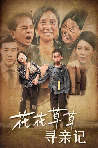 《花花草草寻亲记》完整版在线观看