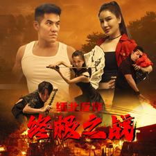 《缅北反诈终极之战》完整版在线观看