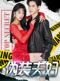 《伪装夫妇》完整版在线观看