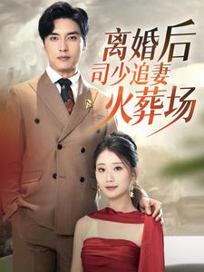 《离婚后司少追妻火葬场》完整版在线观看