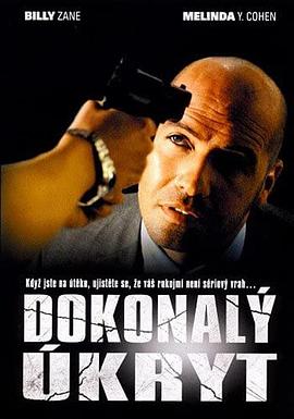 《完美隐藏》完整版在线观看