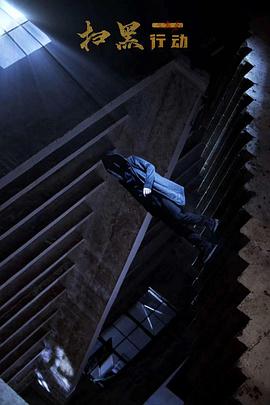 《扫黑行动之黄金》完整版在线观看