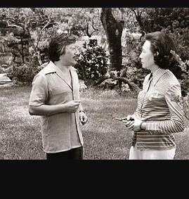 《家在香港粤语》完整版在线观看