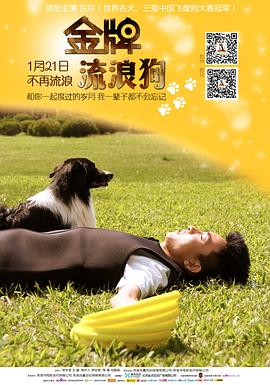 《金牌流浪狗》完整版在线观看