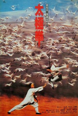 《功夫小子闯情关》完整版在线观看