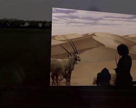 《何处是巧克力山》完整版在线观看