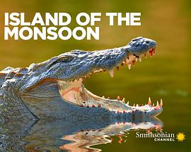 《季风群岛》完整版在线观看