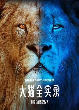 《大猫全实录》完整版在线观看