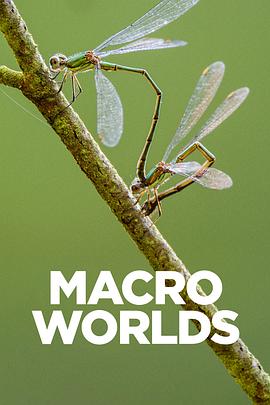 《宏观世界2017》完整版在线观看