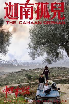 《中东大宝荐2:迦南孤儿》完整版在线观看