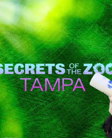 《动物园秘辛：坦帕湾第四季》完整版在线观看