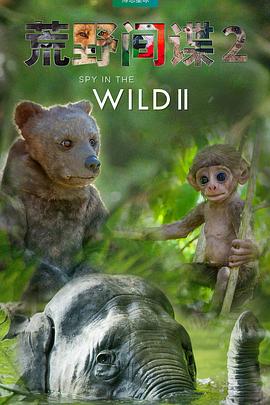 《荒野间谍第二季》完整版在线观看