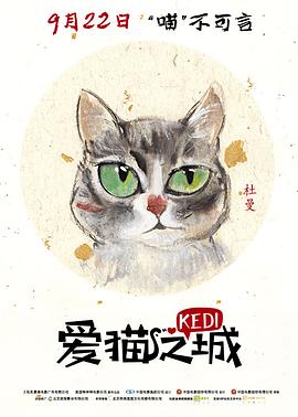 《爱猫之城》完整版在线观看