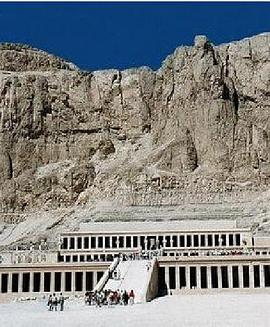 《十字路口探索之旅》完整版在线观看