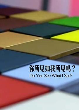 《你所见如我所见吗》完整版在线观看