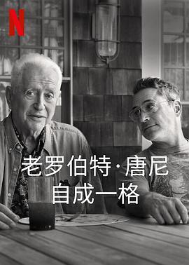 《罗伯特·唐尼：自成一格》完整版在线观看