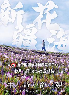 《生命奇观》完整版在线观看