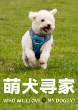 《萌犬寻家》完整版在线观看