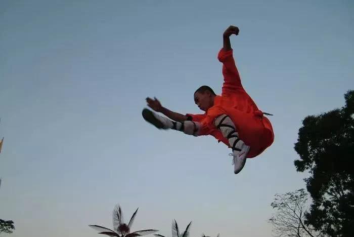 《出神入化看武术》完整版在线观看