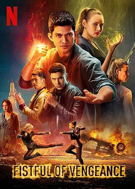 《复仇铁拳》完整版在线观看