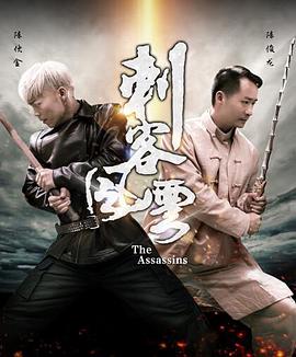 《刺客风云》完整版在线观看
