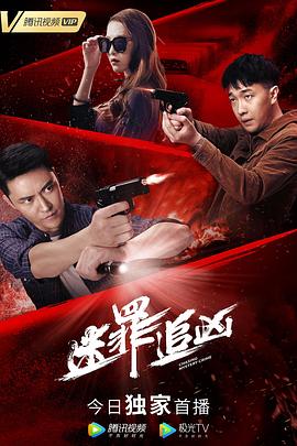 《迷罪追凶》完整版在线观看