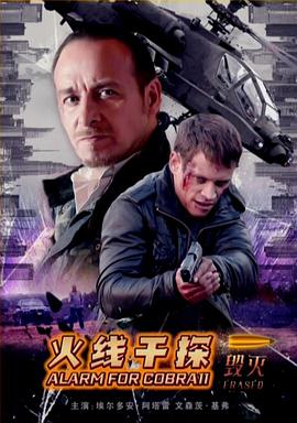 《火线干探之毁灭》完整版在线观看