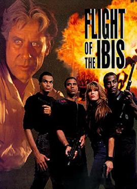 《无敌雄鹰》完整版在线观看