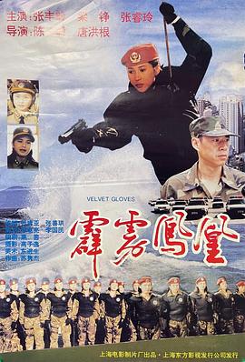 《霹雳凤凰》完整版在线观看