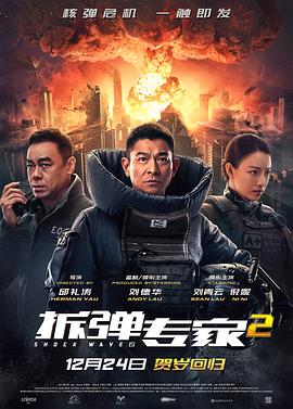 《拆弹专家2》完整版在线观看