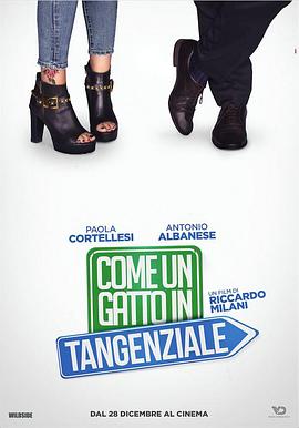 《高速路上一只猫》完整版在线观看