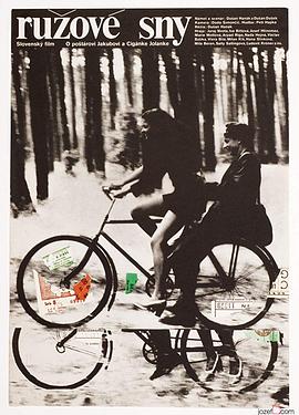 《玫瑰色的梦》完整版在线观看