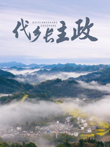 《代乡长主政》完整版在线观看
