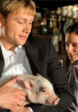 《绝对保险》完整版在线观看