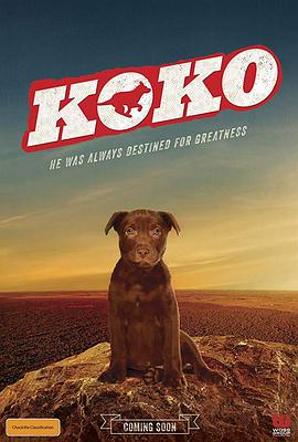 《Koko:红犬历险记》完整版在线观看