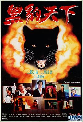 《黑豹天下》完整版在线观看