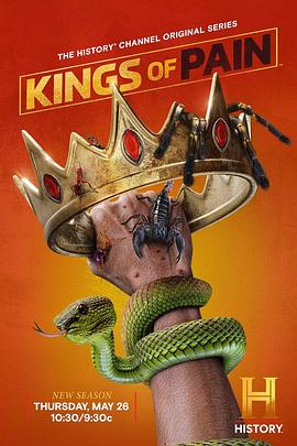 《疼痛之王2》完整版在线观看