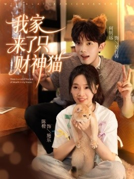 《我家来了只财神猫》完整版在线观看