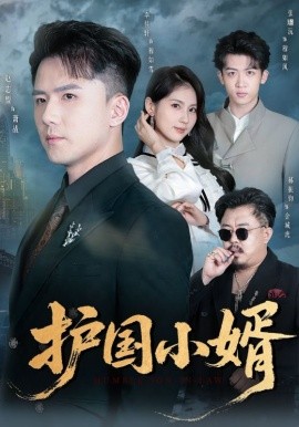 《护国小婿》完整版在线观看