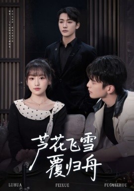 《芦花飞雪覆归舟》完整版在线观看