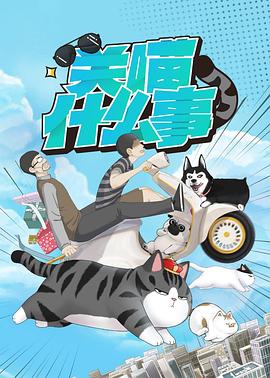 《关喵什么事》完整版在线观看